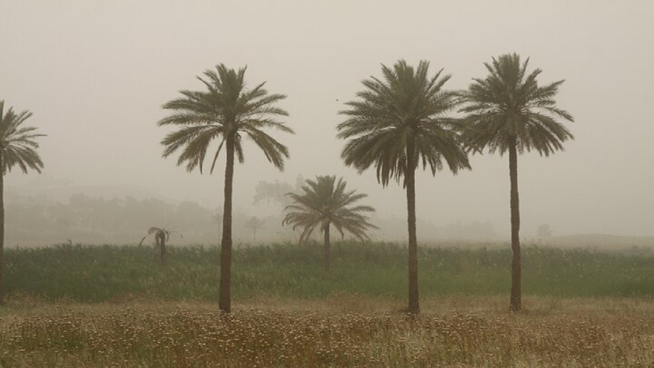 خوزستان بر مدار آلودگی؛ هوای ۷ شهر در وضعیت خطرناک