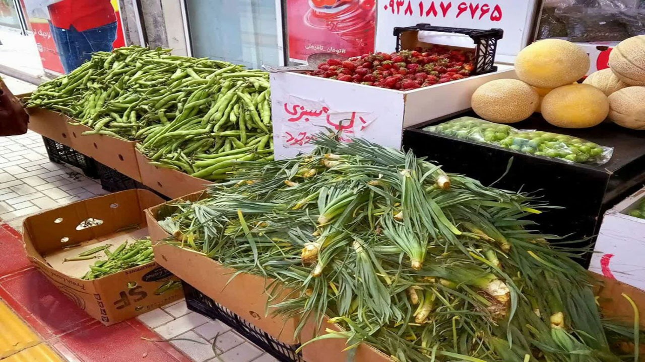 بهار و طعم خوش گیاهی نام آشنا در خراسان شمالی