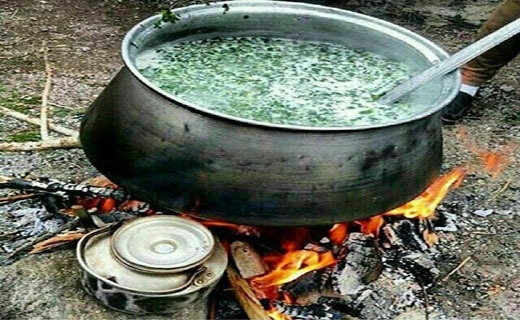 بهار و طعم خوش گیاهی نام آشنا در خراسان شمالی