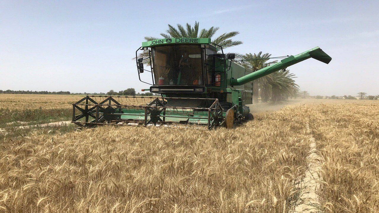 خرید گندم در سیستان و بلوچستان از مرز یک هزار تن گذشت