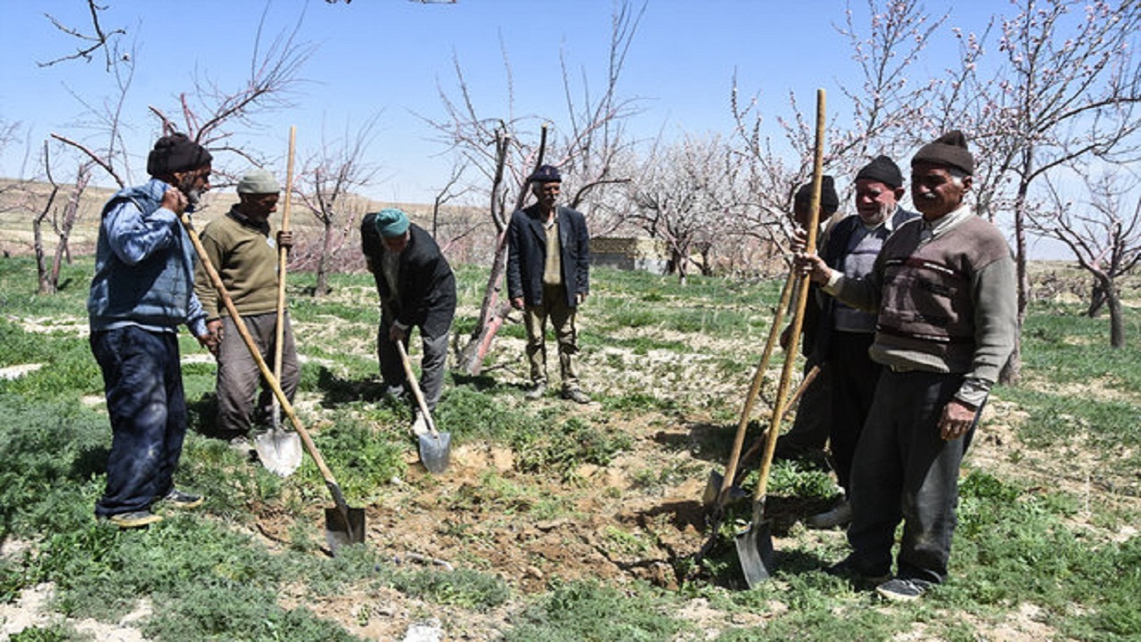 بیش از ۲ هزار گچسارانی زیر پوشش بیمه روستایی قرار گرفتند