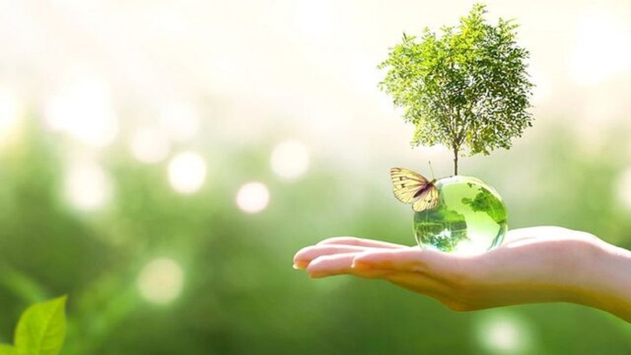 انجام پژوهش‌های زیست محیطی از سوی شرکت‌های دانش‌بنیان