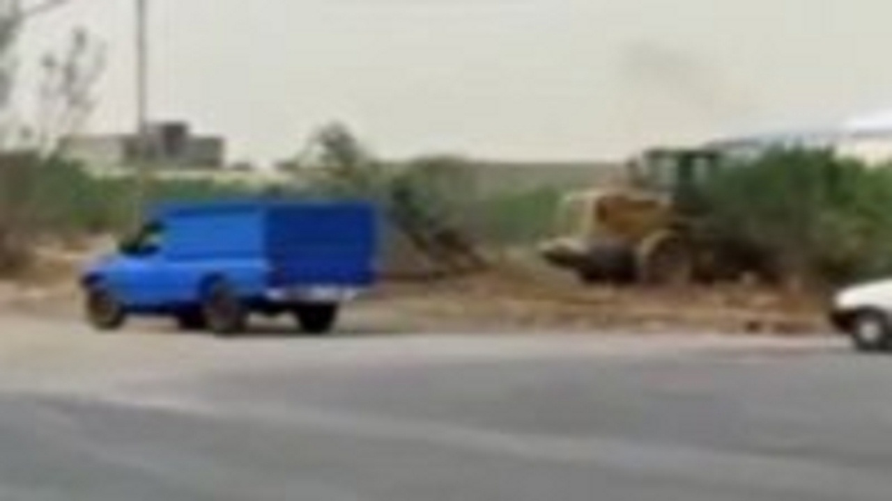ماجرای قطع هزار درخت پسته در اردکان یزد