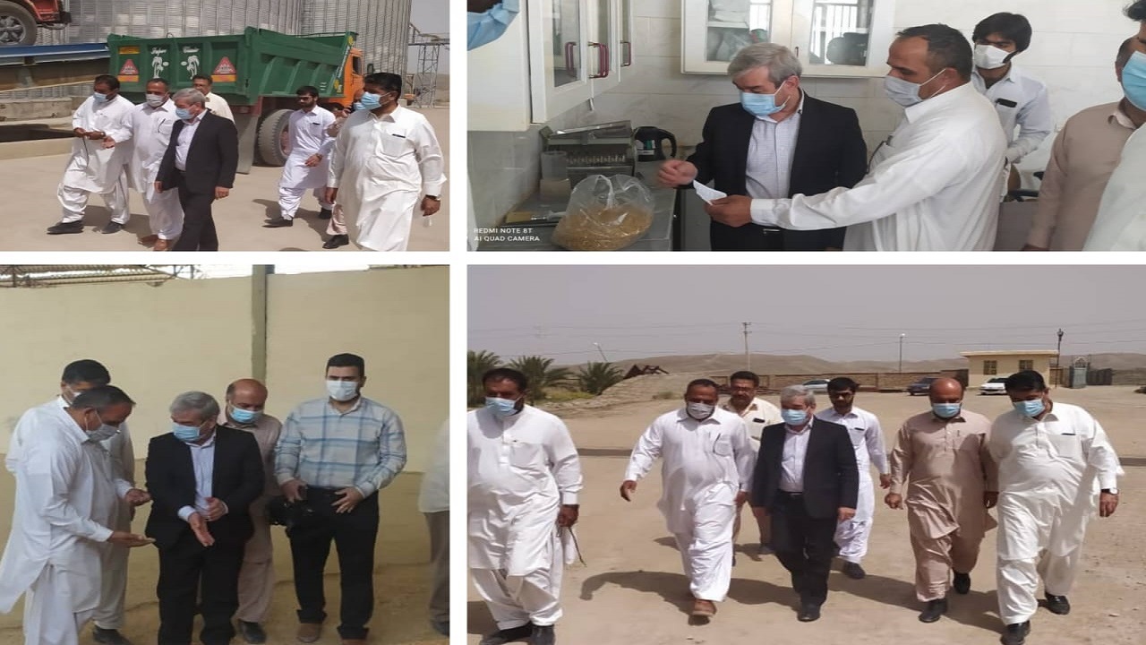 بازدید فرماندار ایرانشهر از مرکز خرید گندم