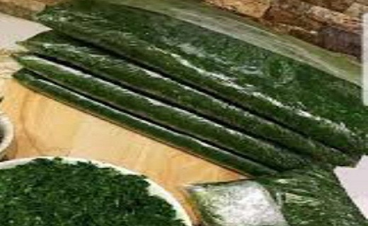 سبزی که هنگام سحر برداشت می شود تا افطار برسفره ها باشد