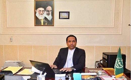 سبزی که هنگام سحر برداشت می شود تا افطار برسفره ها باشد
