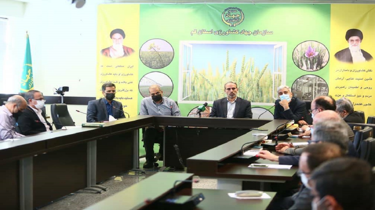 ۱۵۰ کمباین برداشت غلات و کلزا قم را انجام میدهند