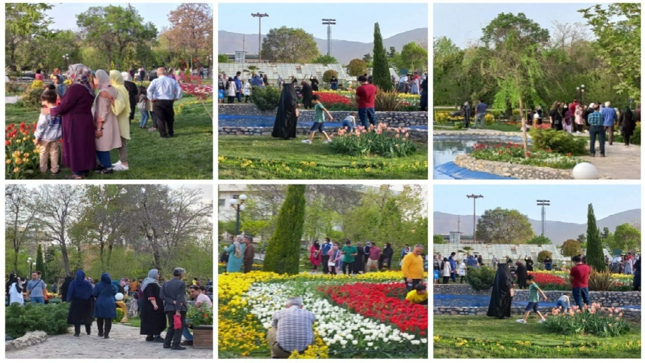استقبال از جشنواره گل‌های لاله در اراک