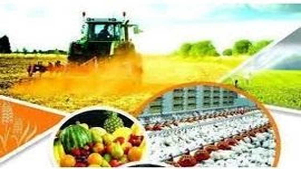 تحقق بیش از ۱۹۰ درصدی جذب تسهیلات کشاورزی فیروزآباد