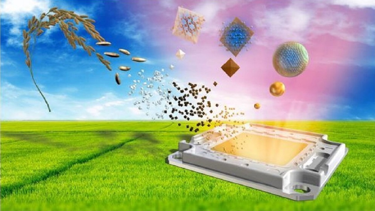نخستین چراغ ال‌ای‌دی کوانتومی جهان با سبوس برنج