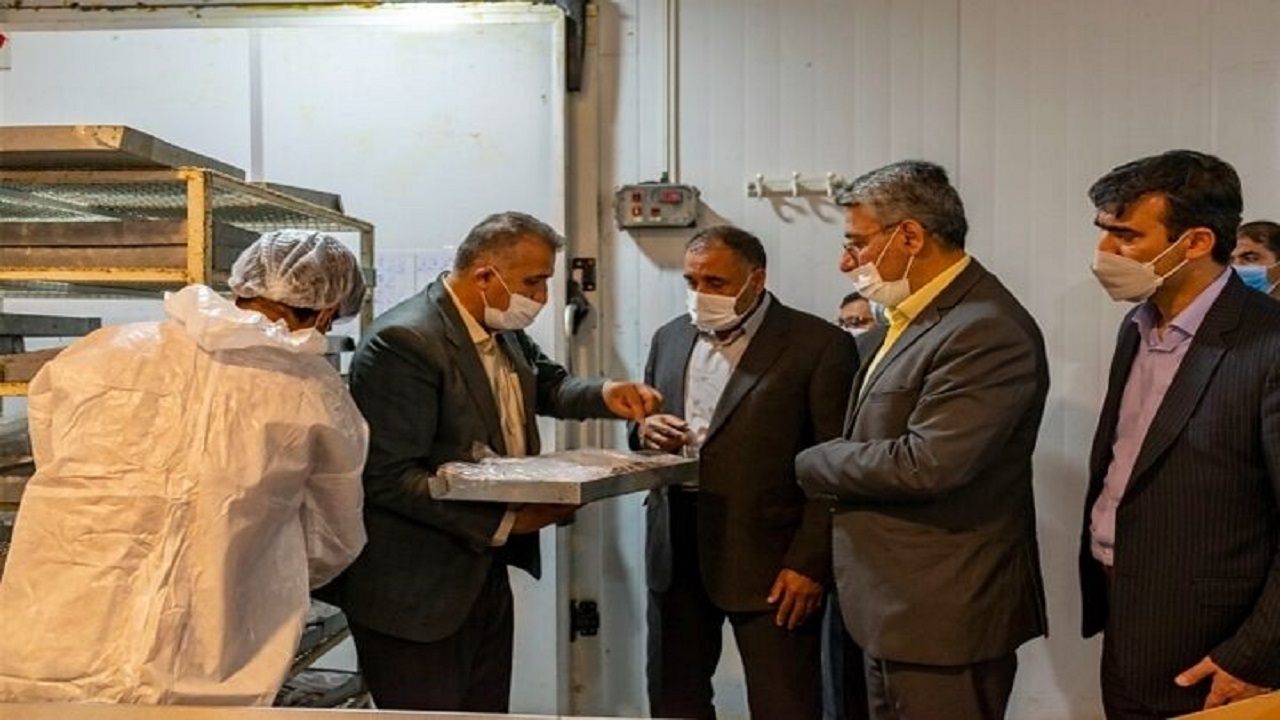 با حمایت از سازمان اتکا شاهد افزایش تولید و اشتغال‌زایی خواهیم بود