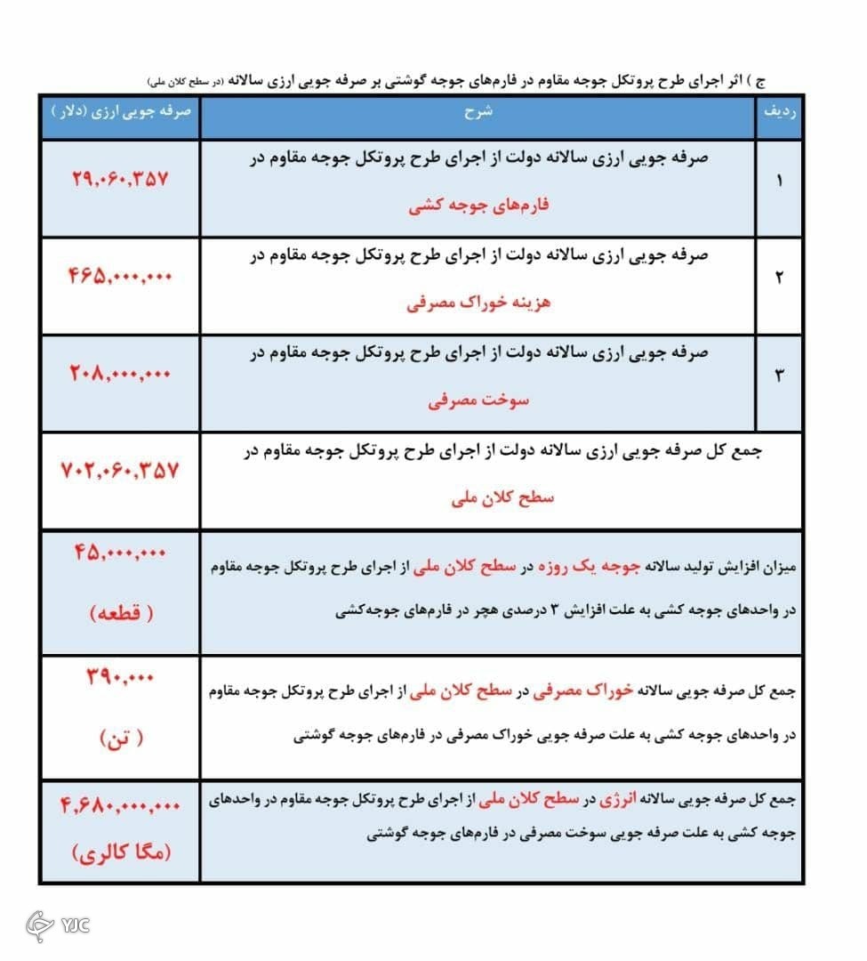 طرحی دانش بنیان که برای سازش با بازار حاکم مرغ در اجرا ناکام ماند