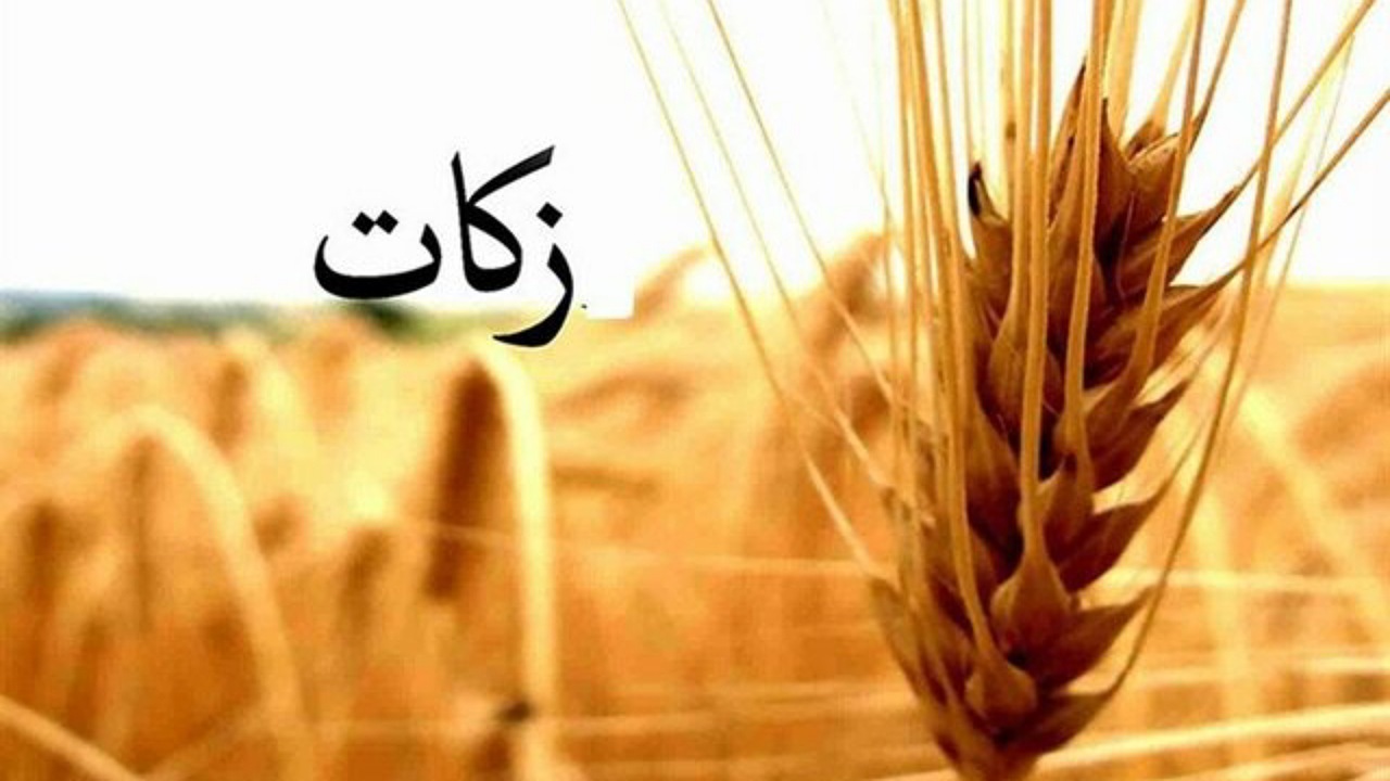 پرداخت بیش از یک میلیارد تومان زکات در کاشان
