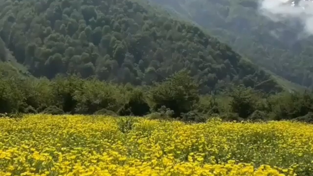 یکی از مناطق خاص طبیعی ایران را بیشتر بشناسید + فیلم