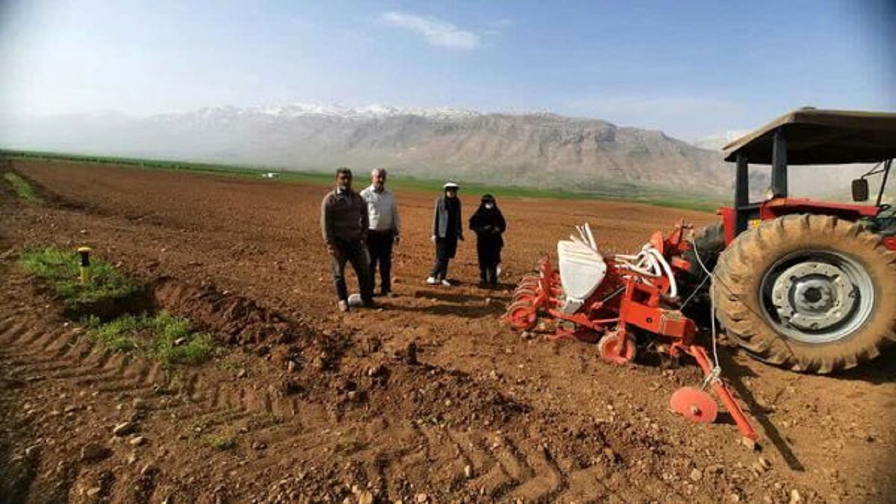 آغاز کشت چغندرقند در شهرستان فارسان