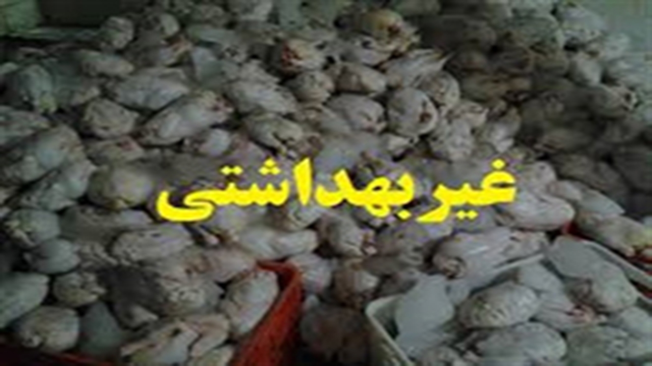 مرغ