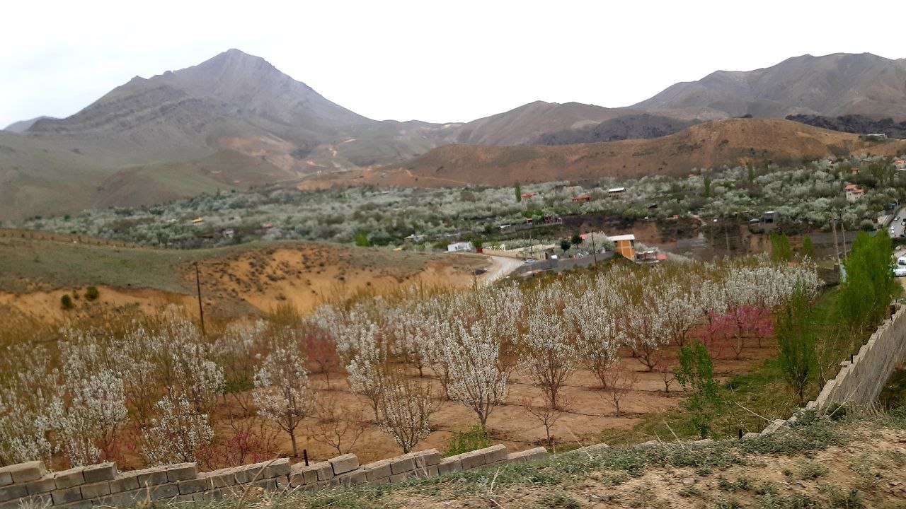 نمایی از طبیعت بهاری روستای کندر + فیلم