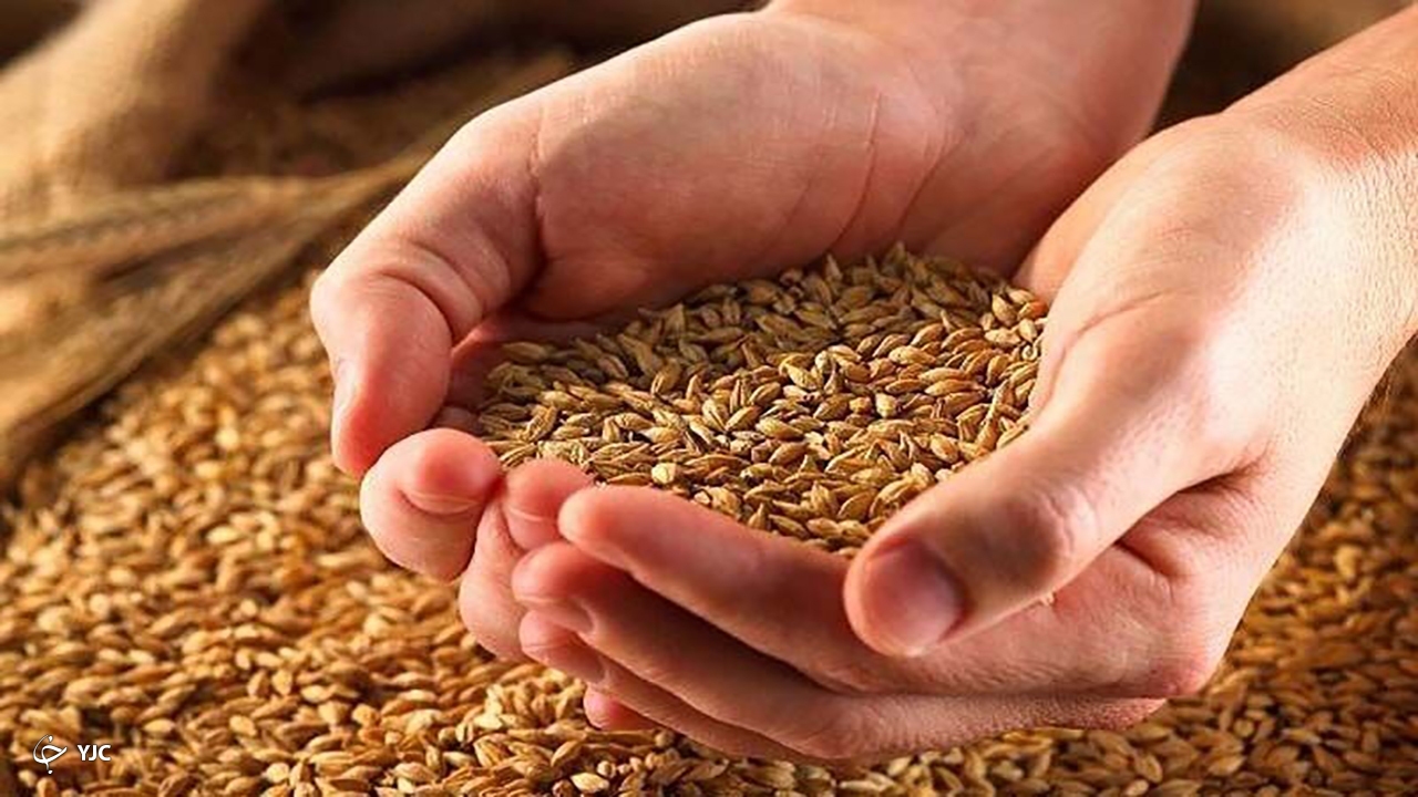 اهمیت پرداخت زکات برای مردم تفهیم شود