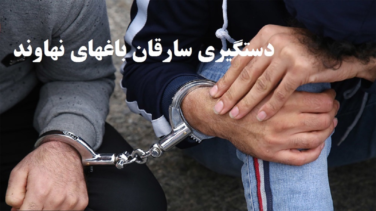 دستگیری سارق باغات و مزارع وکشف ۲ فقره سرقت در نهاوند