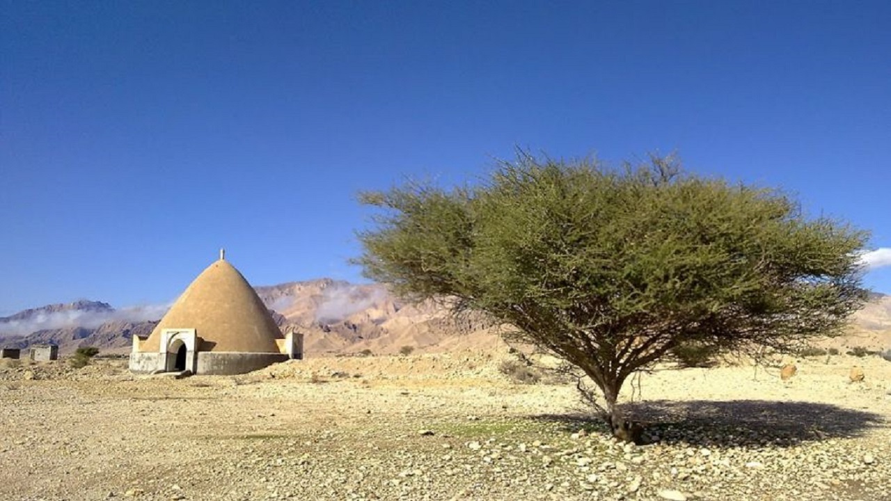 کهور پاکستانی برای تثبیت ماسه ها مفید است