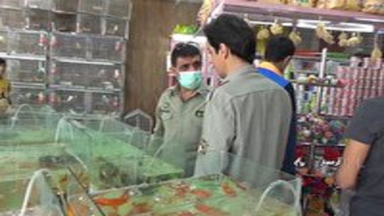 بازرسی از مراکز عرضه ماهی و پرندگان در گرمسار