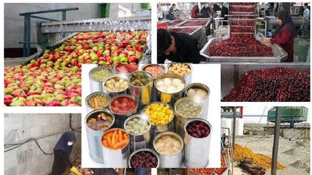 توسعه محصولات استراتژیک از مسیر صنایع تبدیلی