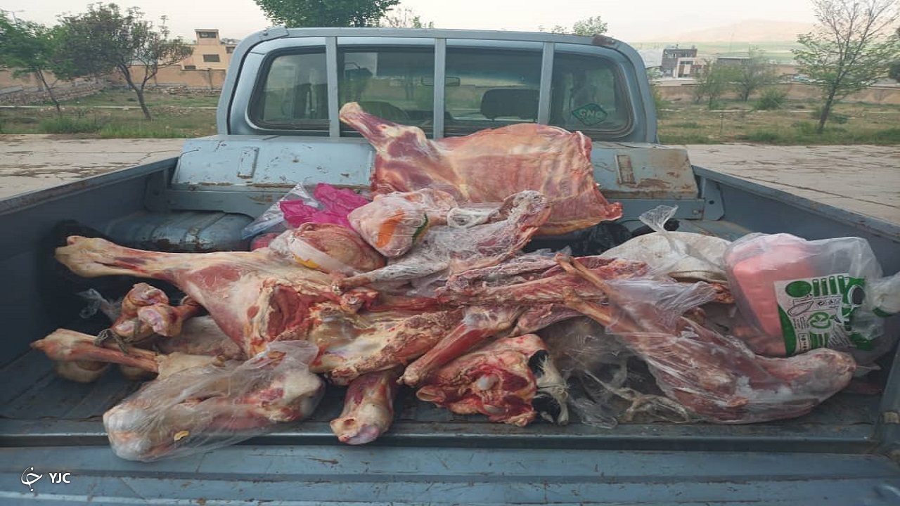 معدوم سازی بیش از ۱۶۰ کیلوگرم گوشت فاسد در اردل