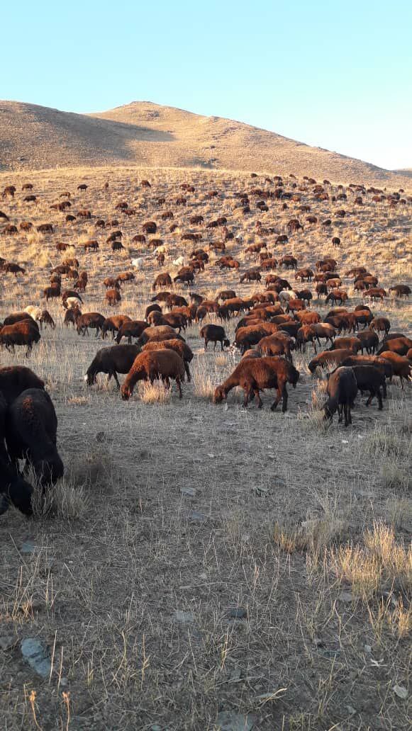 تصاویری از طبیعت روستای خورجهان