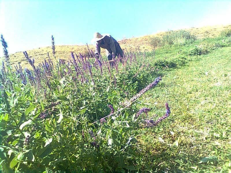 تصاویری از طبیعت روستای خورجهان