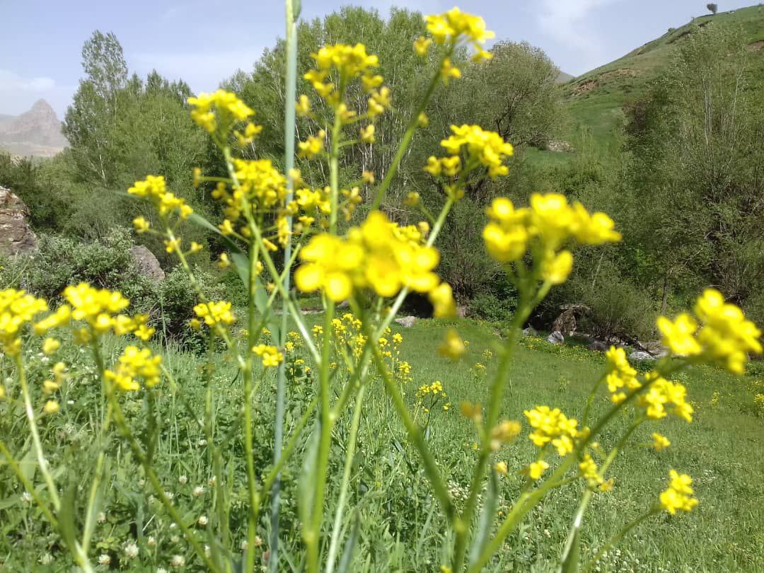 تصاویری از طبیعت روستای خورجهان