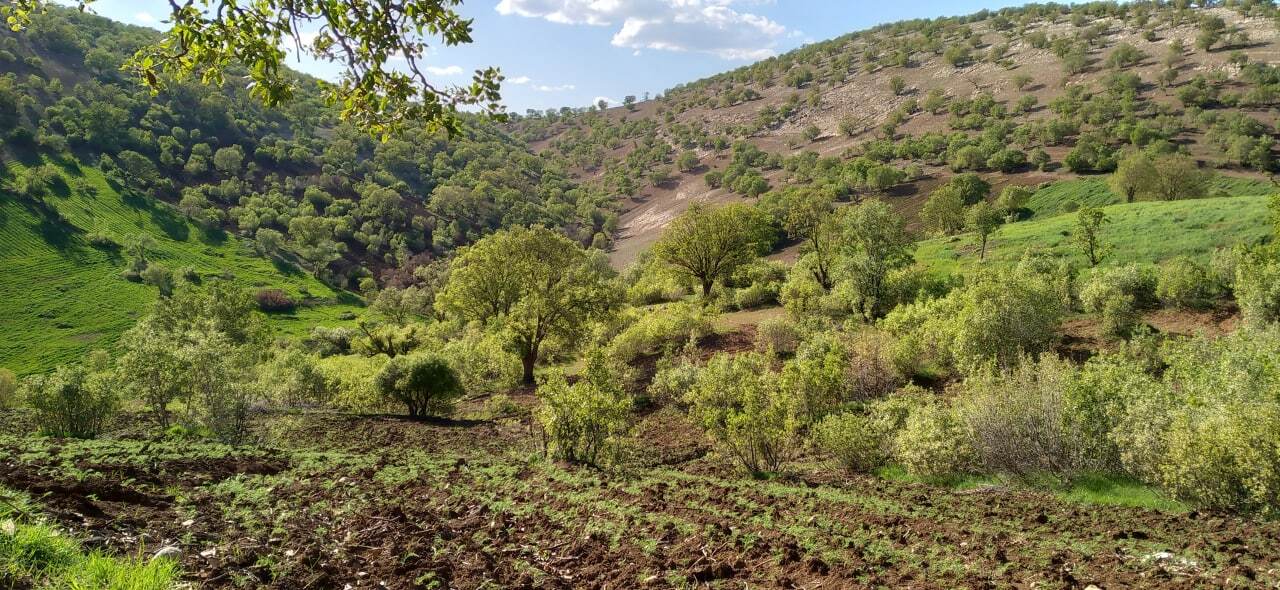 نمایی از طبیعت بسطام به روایت تصاویر