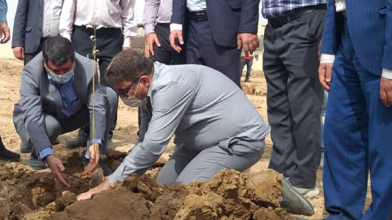 آغاز درختکاری در پارک جنگلی موقت قلعه چنان