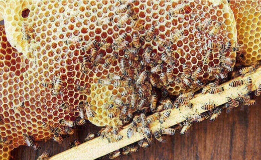 سوغات سنندج؛ از خوردنی&zwnj;ها تا صنایع دستی