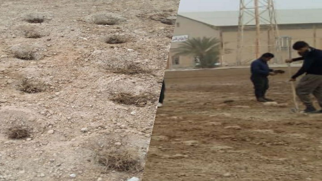 عملیات کاشت چمن زمین فوتبال مهران شروع شد