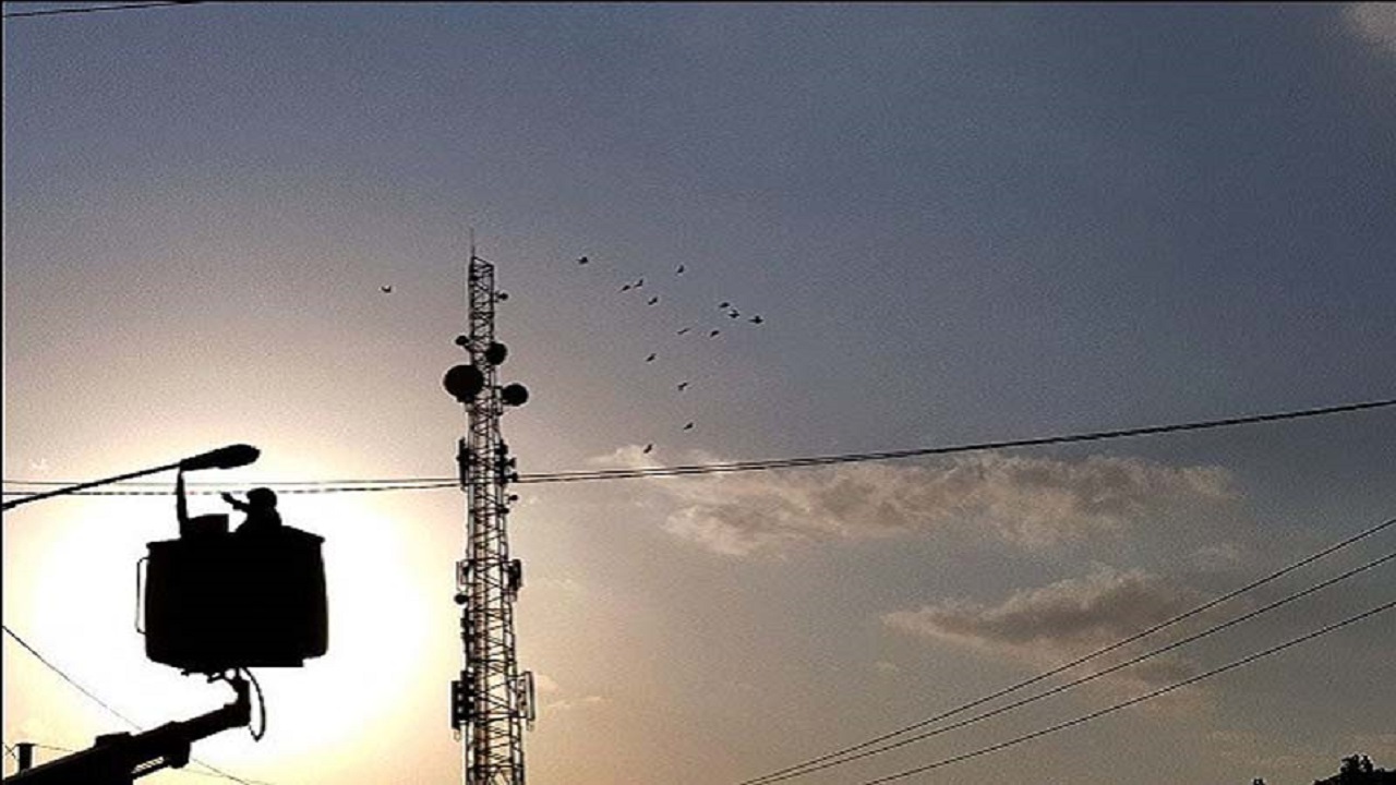 وزش باد شدید،علت قطع برق در سیردان