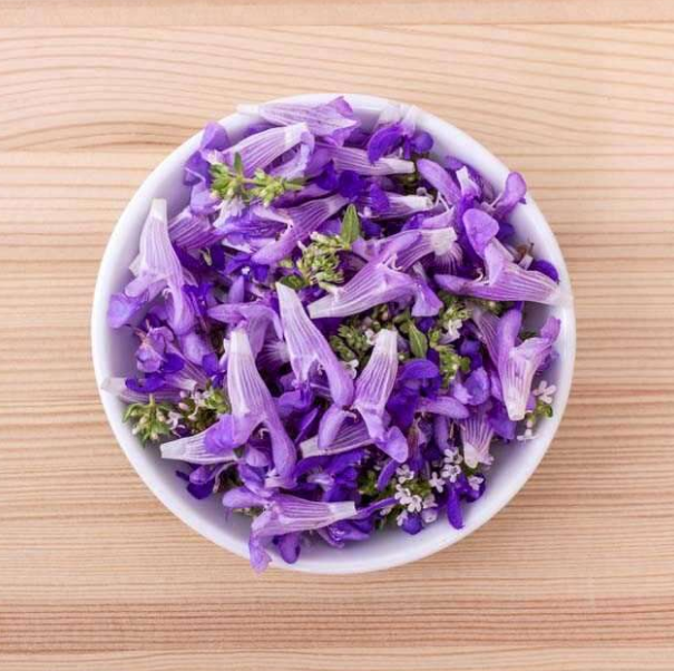 گل بنفشه