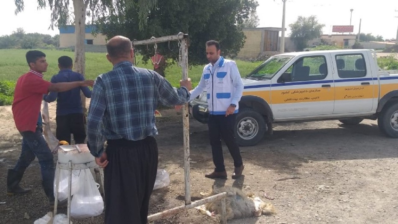 کشف و امحاء دام بیمار و ناسالم در کشتار غیر مجاز در شهرستان شوشتر