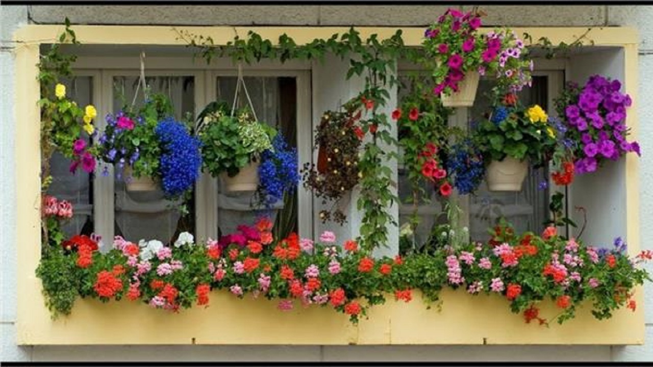 خواص گل‌ها برای سلامت روح و روان
