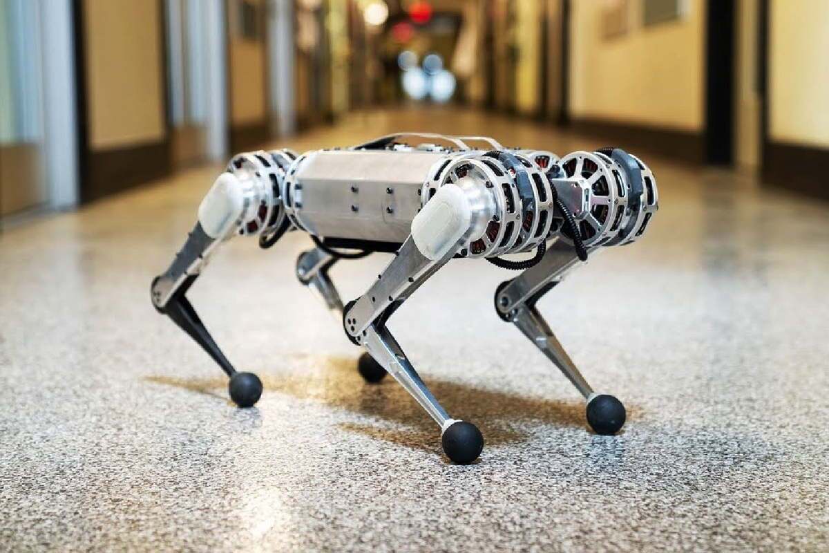 ربات Cheetah