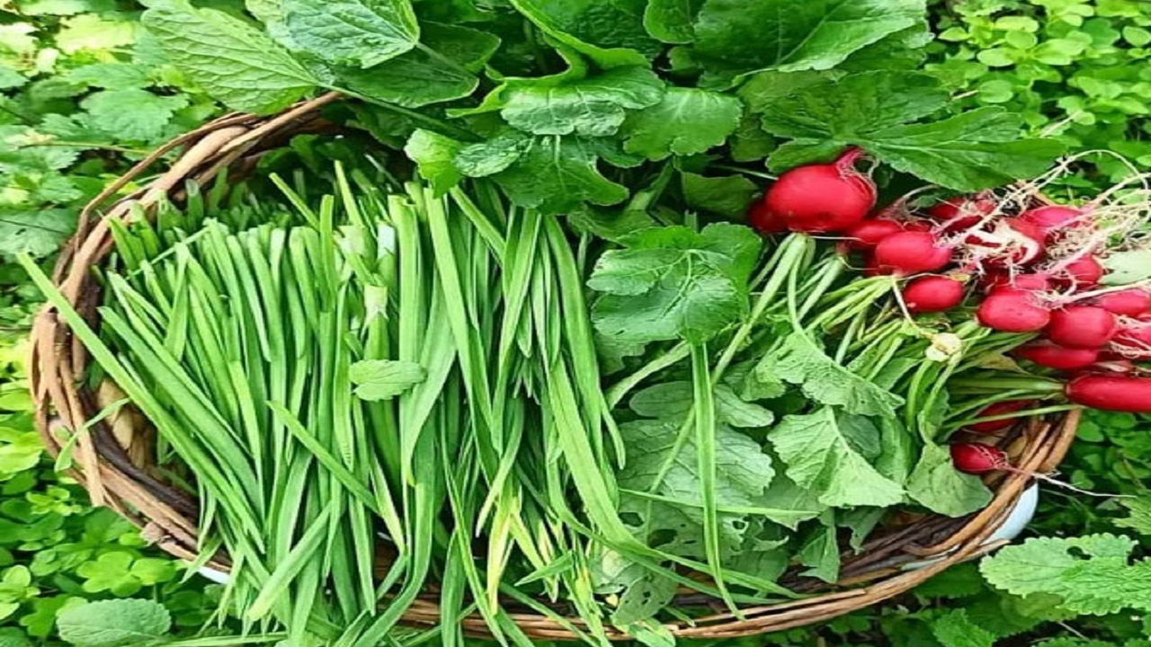 بلایی که نخوردن سبزی به سرمان می‌آورد