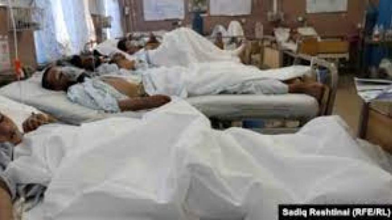 شیرگاو ۴۳ نفر را در قندهار مسموم کرد