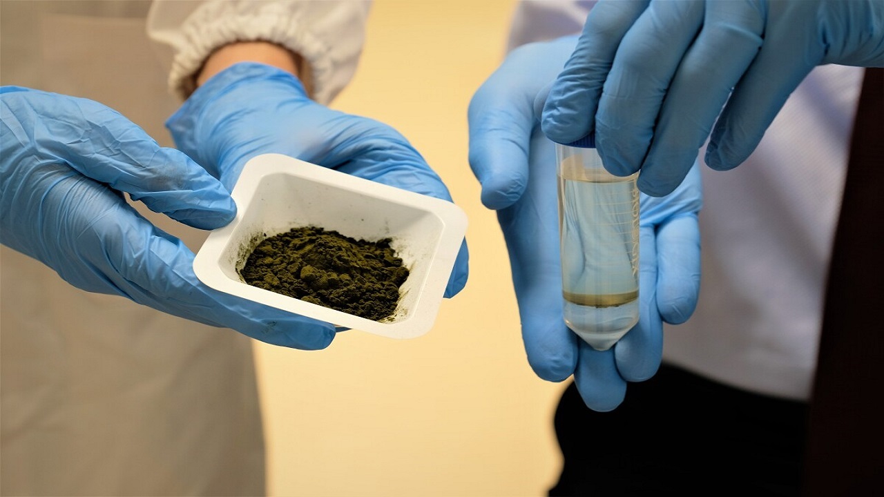 روغن جلبک جایگزین روغن پالم می‌شود