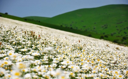 اردبیل سرزمین عروس کوه&zwnj;های ایران