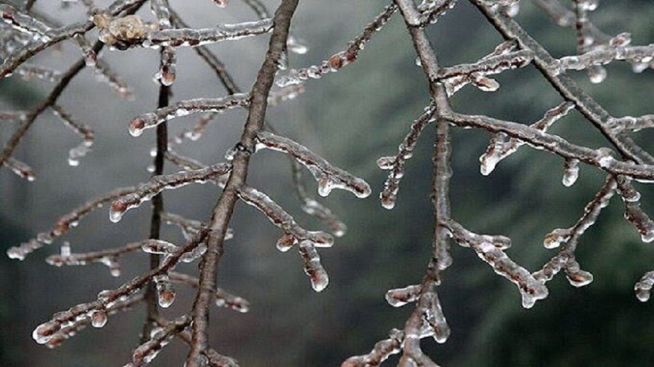 یخبندان شبانه در خراسان جنوبی تشدید می شود