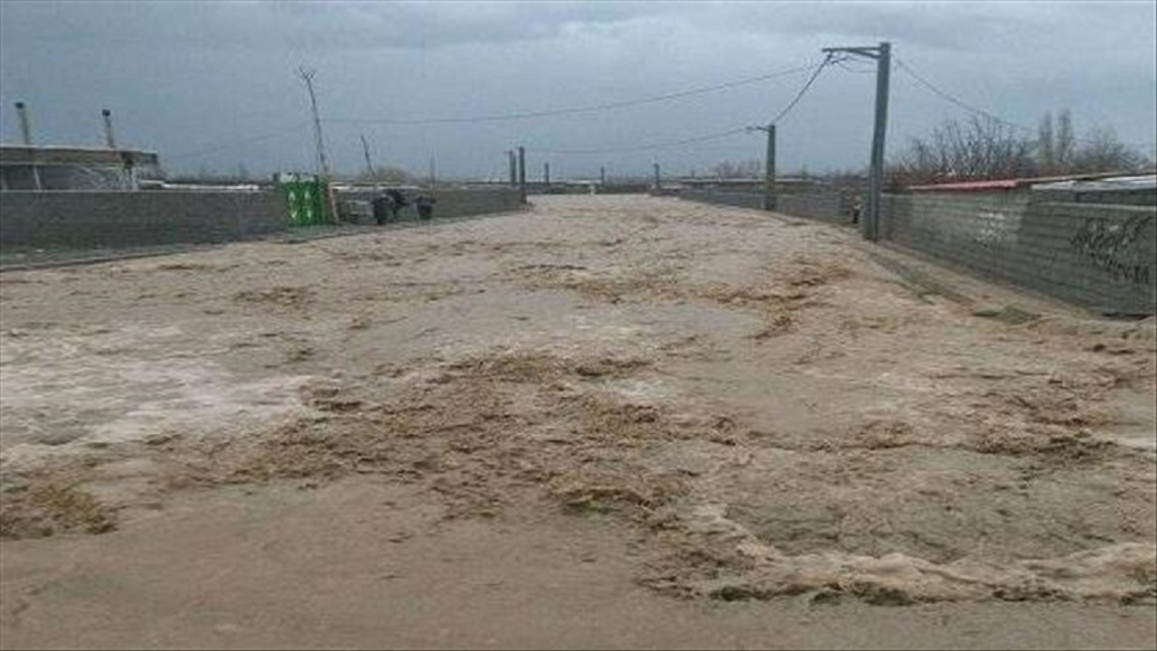 ۱۶۸ روستای استان بوشهر در معرض سیل یا پیشروی دریا هستند