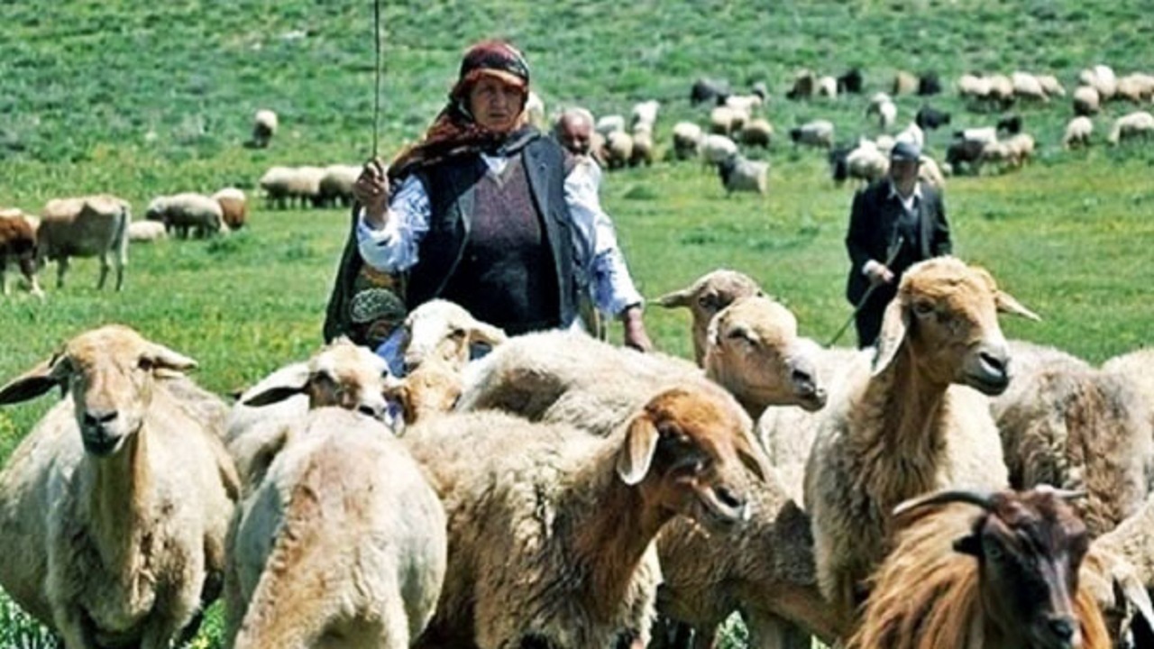 تخصیص ۳ هزار و ۲۰۰ میلیارد تومان تسهیلات برای دامداران