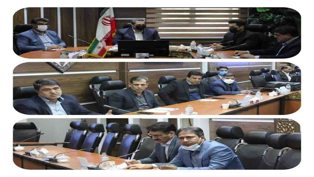 اجرای طرح نهال کاری سردار شهید سلیمانی در سراسر کرمان