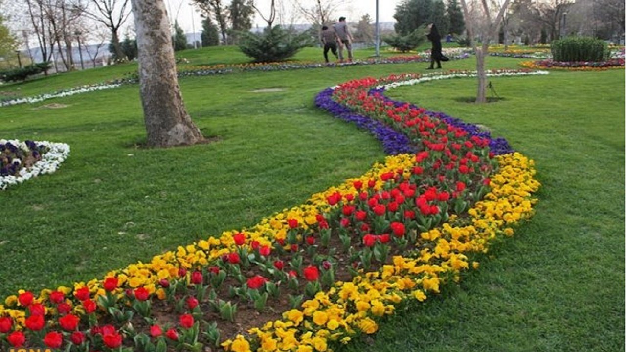 افزایش سرانه فضای سبز در محلات مختلف شهر زاهدان