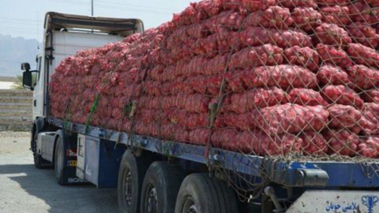 قیمت پیاز در غرب افغانستان افزایش یافت