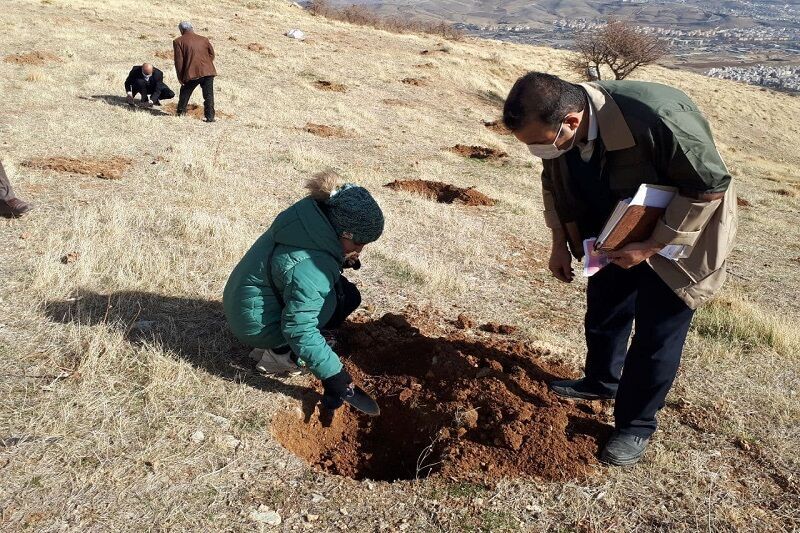 احیای جنگل‌های زاگرس با اجرای پویش بذرکاری